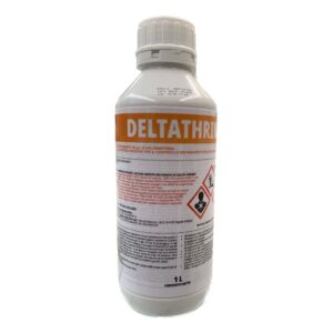 1DELTAT