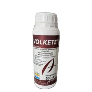 VOLK