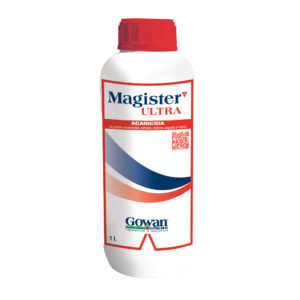 1MAGI