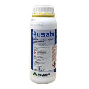 1KUS