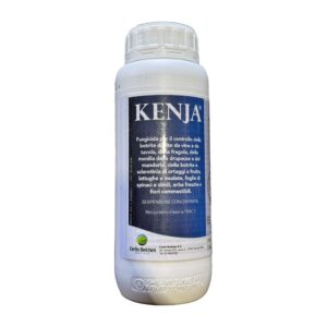 1KENJ